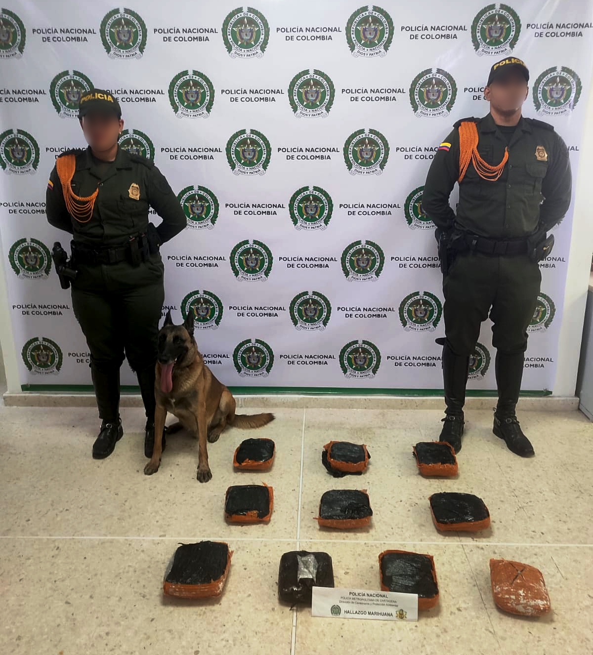 Canino “Killer” incauta más de 5 mil dosis de estupefacientes en una encomienda