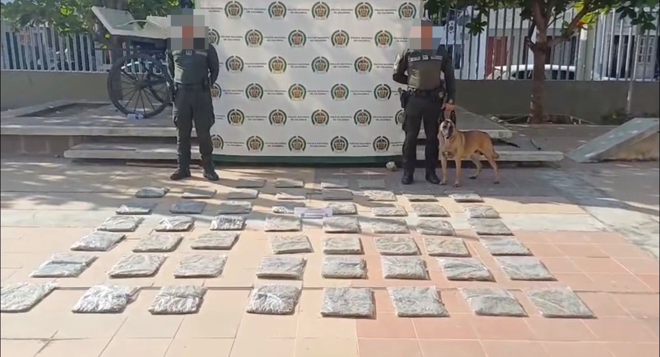 Canino “Killer” incauta más de 26 mil dosis de estupefacientes en una encomienda